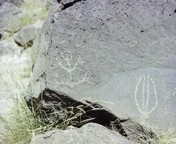 The Rio Grande petroglyphs