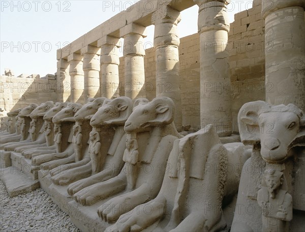 Avenue of the Rams at the temple of Amun, Karnak