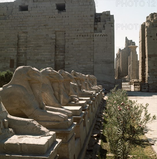 Avenue of the Rams at the temple of Amun, Karnak