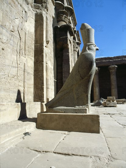 The colossal statue of the god Horus at the entrance to the Temple of Horus, Edfu