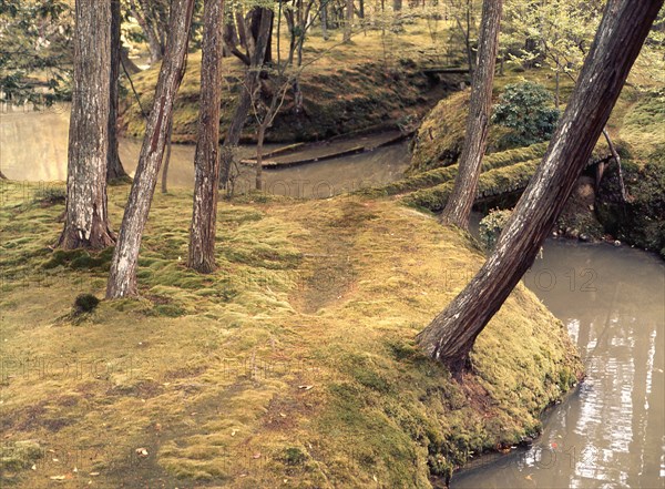 The garden of Saiho-ji, famous for its mosses