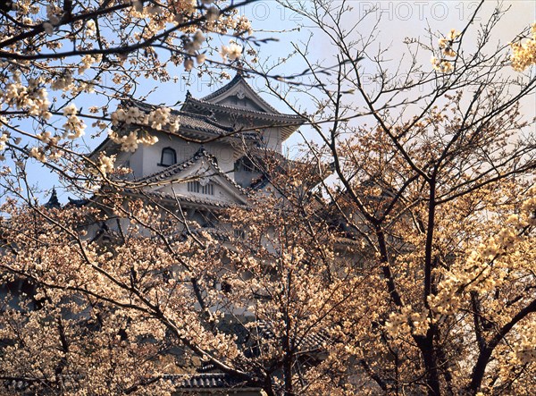 Himeji Castle seen through blossom