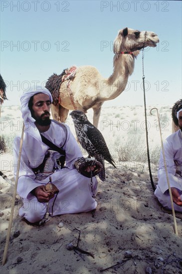 Hawking is a traditional sport of the Bedu and is still very popular in the Emirates