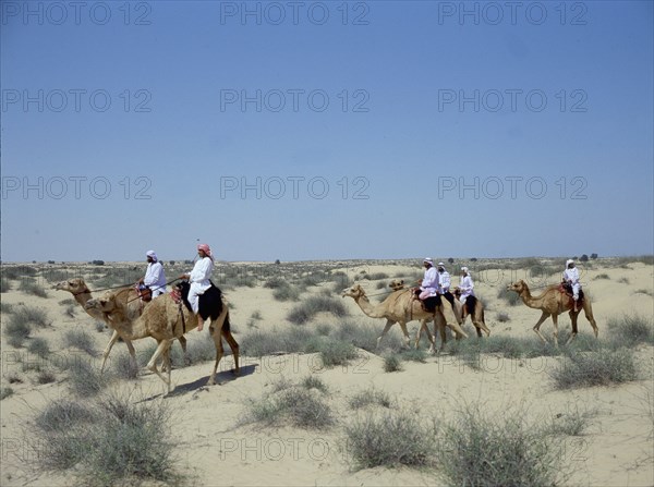 A party of Bedouin returns home from a day spent in the desert