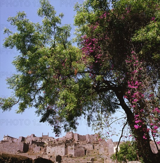 Golconda in the Deccan, once a rich and powerful state, it is now deserted and in ruins