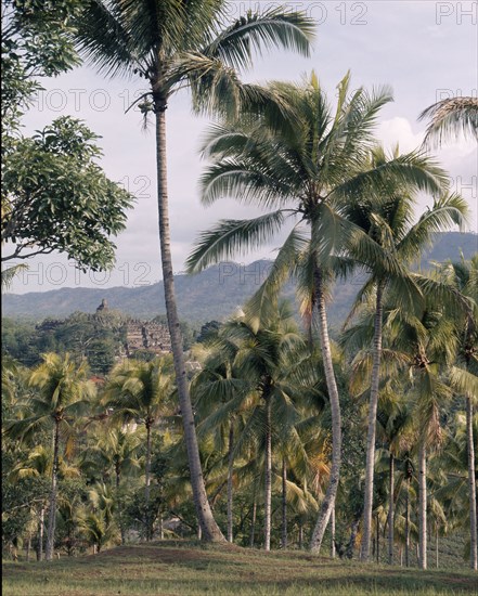 Borobudur