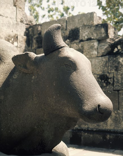 Nandi, the bull mount of Shiva, at the temple of the Lara Jonggrang complex