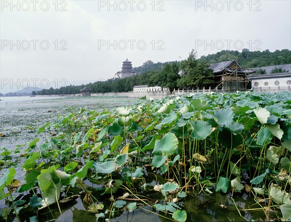 Beijing