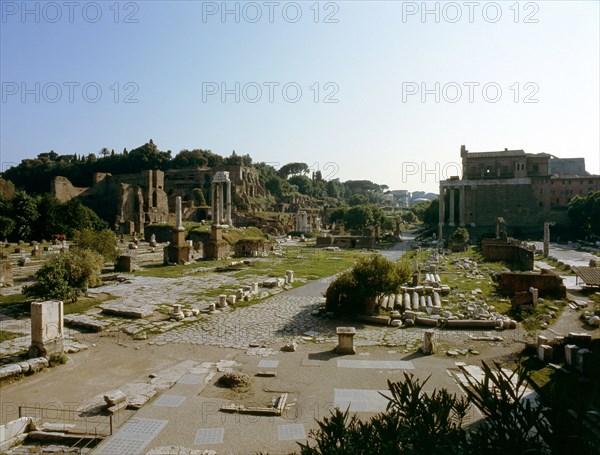 The Roman Forum