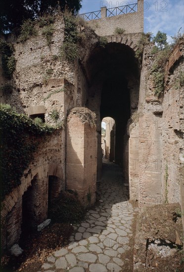 The Roman Forum