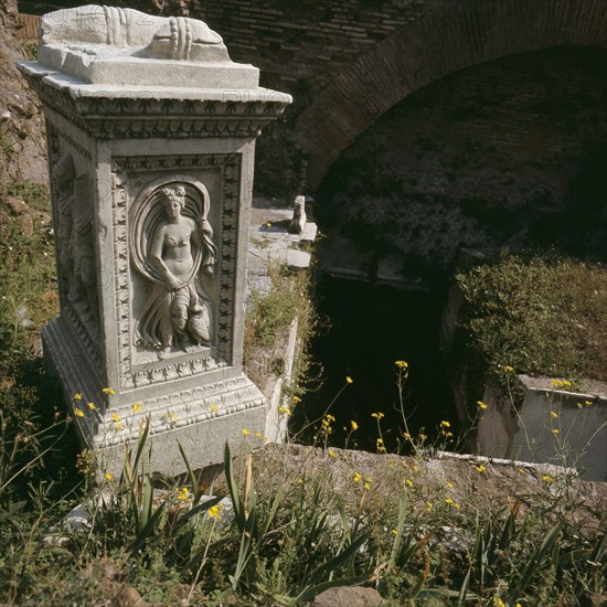 The Roman Forum