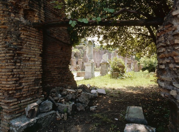 The Roman Forum