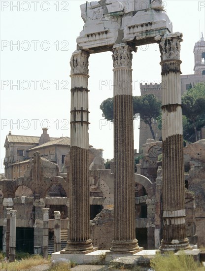 The Roman Forum