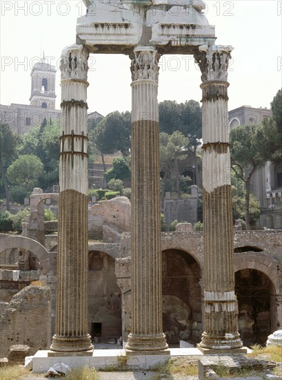 The Roman Forum