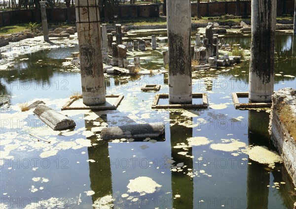 The three remaining columns of the circular structure of the Serapeum, a covered market place constructed during the reign of the Flavian emperors