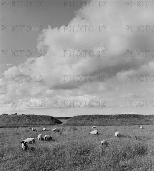 The remains of the fortified Viking settlement at Trelleborg