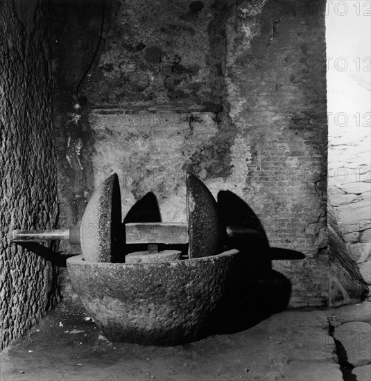 An olive crusher of Vesuvian lava, designed to separate the pulp of the olive from the stones