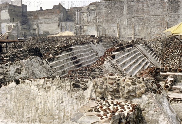 View of sculpted snake forming part of a 'snake wall', El Templo Mayor, Tenochtitlan (Mexico City)