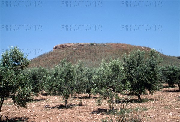 The flattened hilltop site of the Classical Greek city of Olynthus in Chalcidice, Macedonia, northern Greece