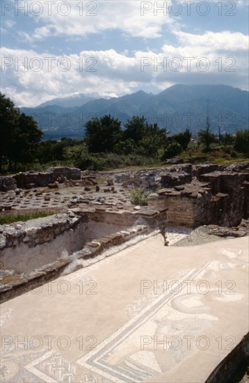 Part of a mosaic depicting a bull, at Dion, with Mt