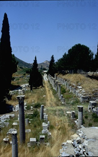 View of the road leading from the sactuary to the city of Samos