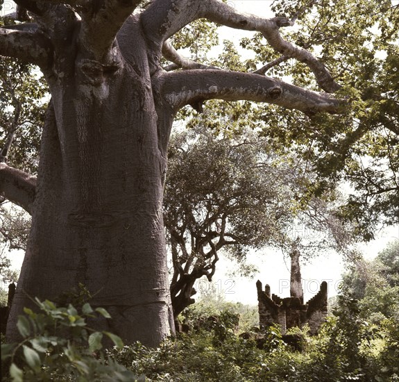 The ruins of Kunduchi, an EastAfrican coastal trading settlement dating from the 16th century