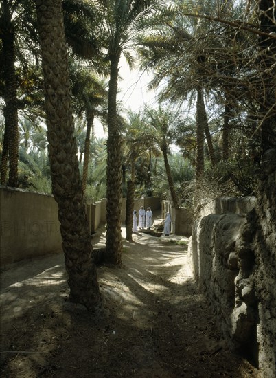 Water bailiffs at al-'Ain oasis