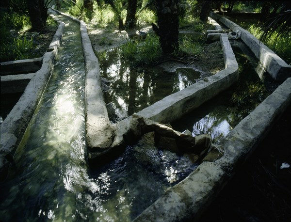 Irrigation channels at al-'Ain oasis