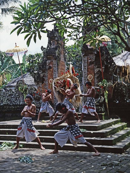 Each Balinese community stages regular performances in which Barong, a mythical lion, fights the dreaded Rangda, Queen of witches