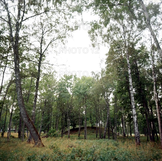 Burial mound, Fjord of Oslo, close to where the Oseberg ship was excavated