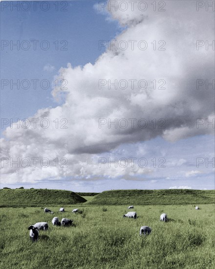 The remains of the fortified Viking settlement at Trelleborg