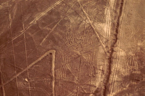 Used for rituals probably related to astronomy, the Nazca geoglyphs covering an area of around 400 square miles, are visible only from the air