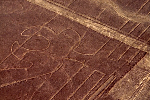 Used for rituals probably related to astronomy, the Nazca geoglyphs covering an area of around 400 square miles, are visible only from the air