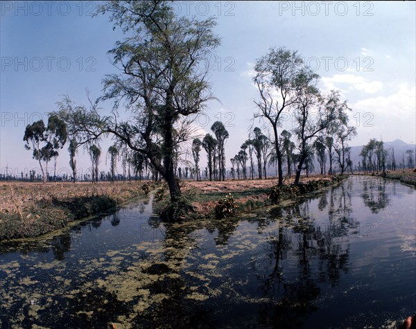 The gardens of Xochimilco, to the south of Mexico City