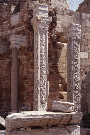 The basilica of Septimus Severus