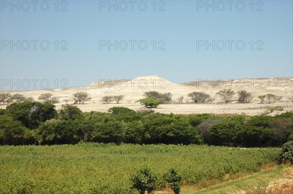 The Nazca "capital" of Cahuachi fronted by the fertile fields flanking the Nazca river