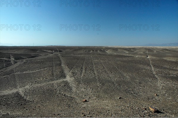 Nazca lines of varying widths converging on / radiating out of a small hill