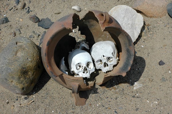 Two artificially deformed skulls in a burial urn from a looted cemetery