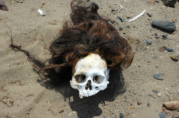 Pre-Columbian skull with the hair still attached