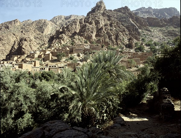 Oasis in the Sahara near Sijilmasa