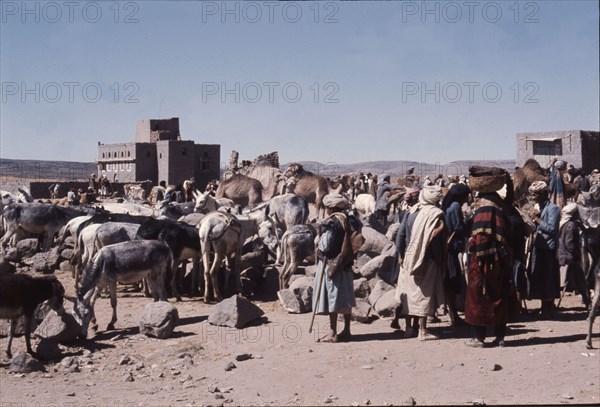 Group of Yemenis with donkeys