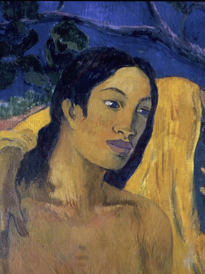 Flight' or 'Tahitian Idyll' by Paul Gauguin (1848   1903)