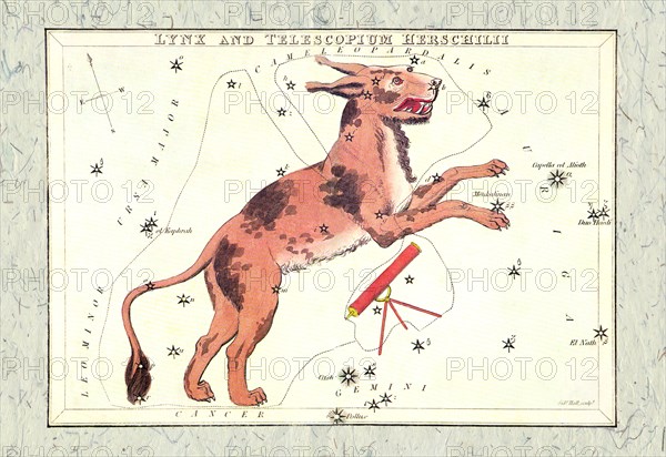 Constellation of Lynx 1825