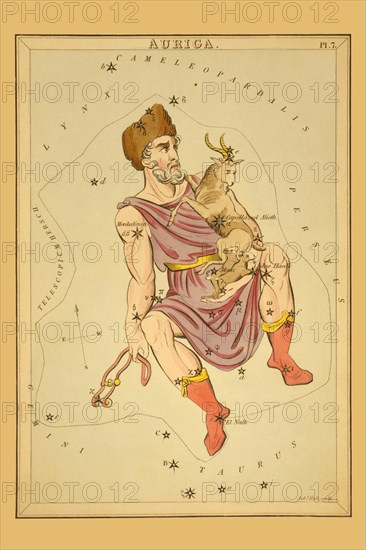 Auriga 1825