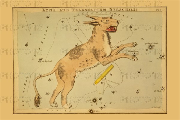 Lynx and Telescopium Herschilii 1825