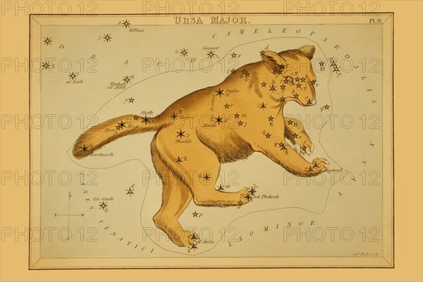 Ursa Major 1825