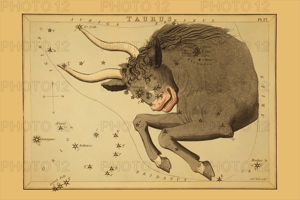 Taurus the Bull 1825