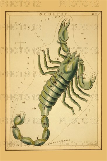 Scorpio 1825