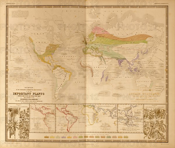 Food Plants of the World 1848