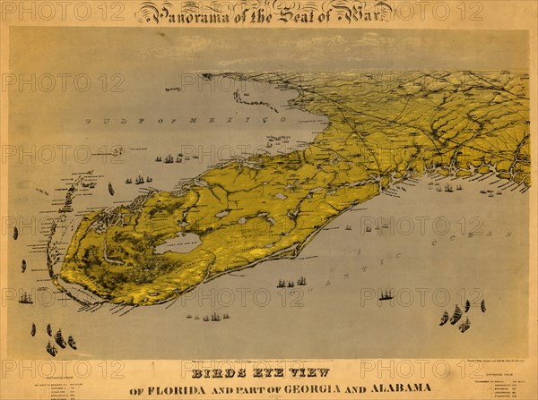 Birds eye view of Florida and part of Georgia and Alabama - 1861 1861